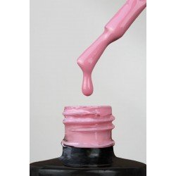 ESMALTE PERMANENTE º229