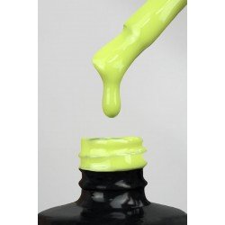 ESMALTE PERMANENTE º233