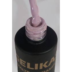 ESMALTE PERMANENTE Nº 81